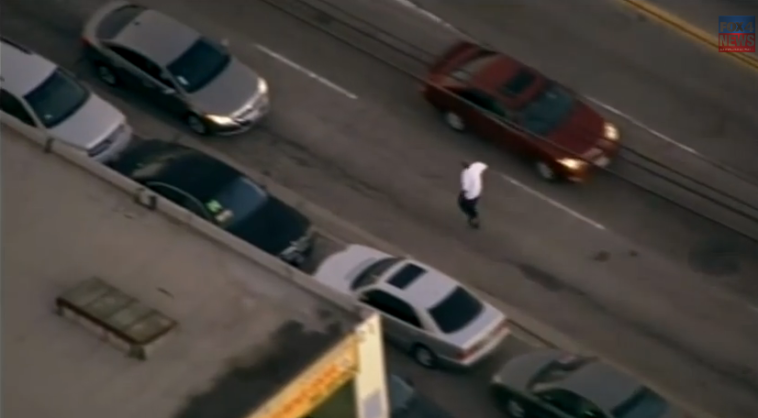 Los Angeles Police Chase