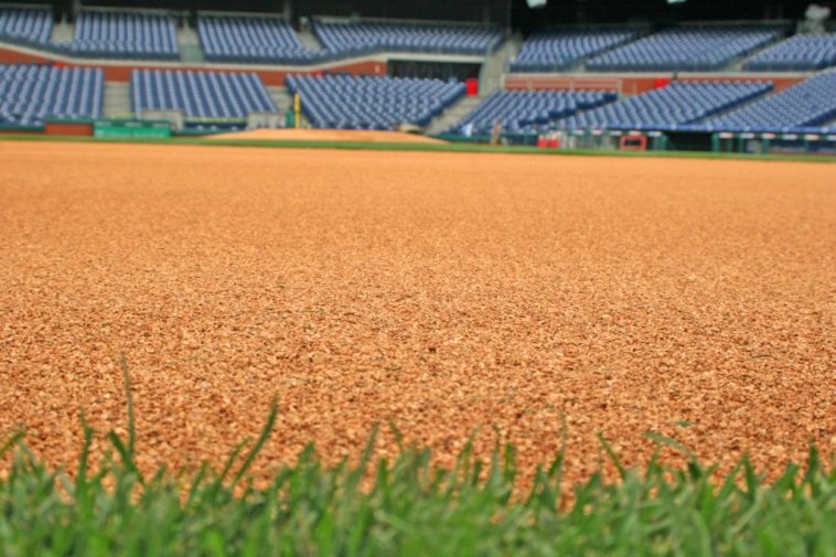 Baseball Grass At Phillies Stadium