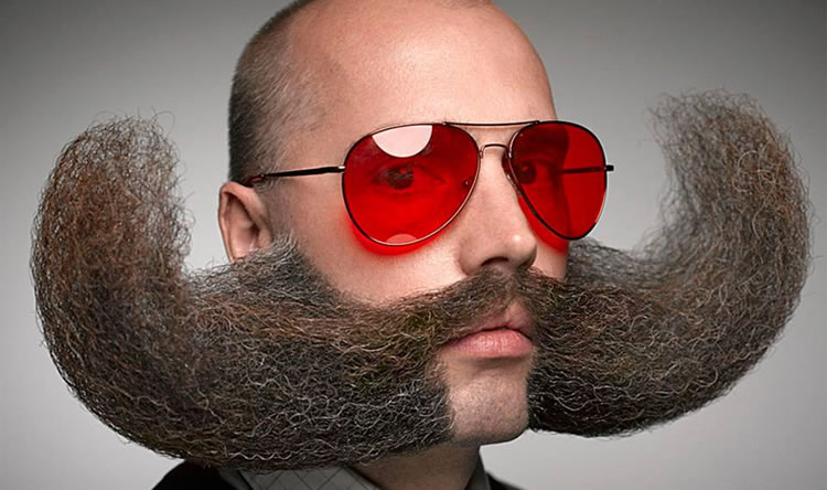 Study: Beards Are Dirty As Toilet Seats – Guy Hut