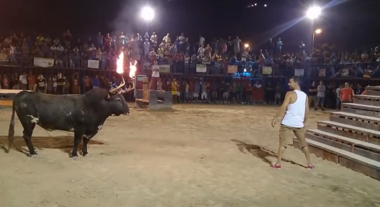 Flaming Bull Horns